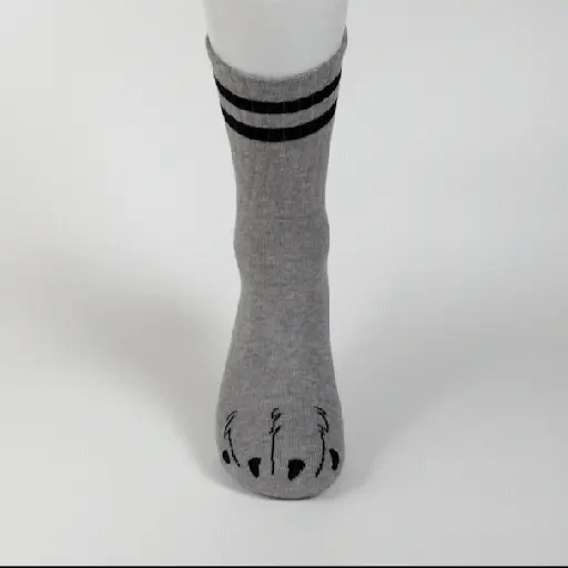 Paw Socks (Version 2)