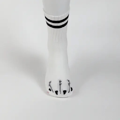 Paw Socks (Version 2)